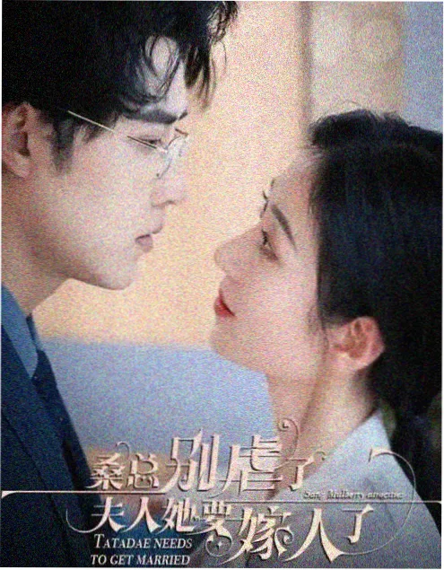 古装权谋剧长安夜行录剧集封面